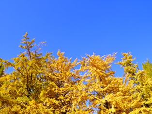 DSC_0715.JPG