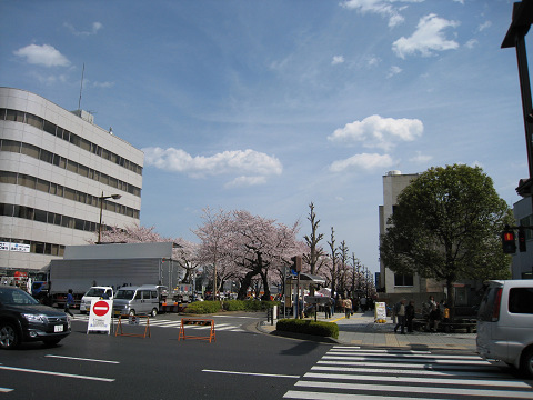 sIMG_0228.jpg