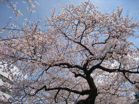sIMG_0229.jpg