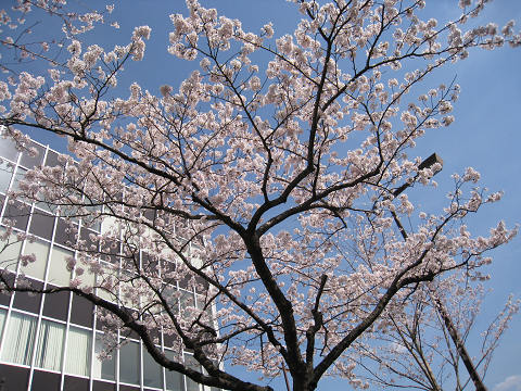 sIMG_0239.jpg