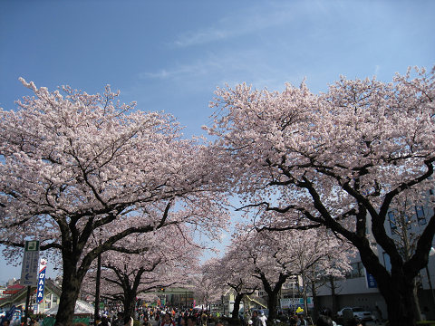 sIMG_0241.jpg