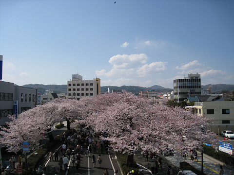 sIMG_0244.jpg