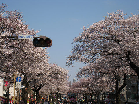 sIMG_0259.jpg