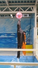 IMG_5588.JPG