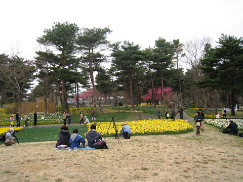 sIMG_4089.jpg