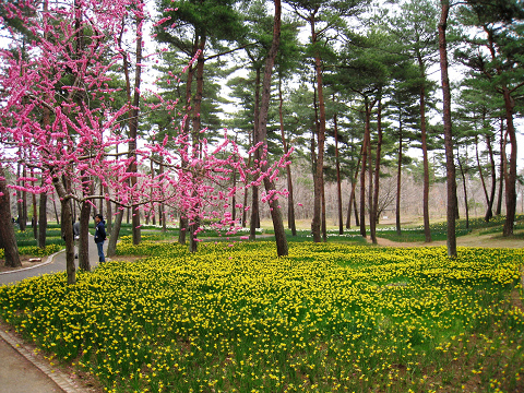 sIMG_4099.jpg