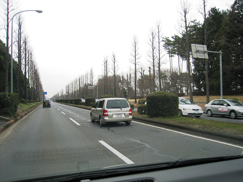 sIMG_3937.jpg