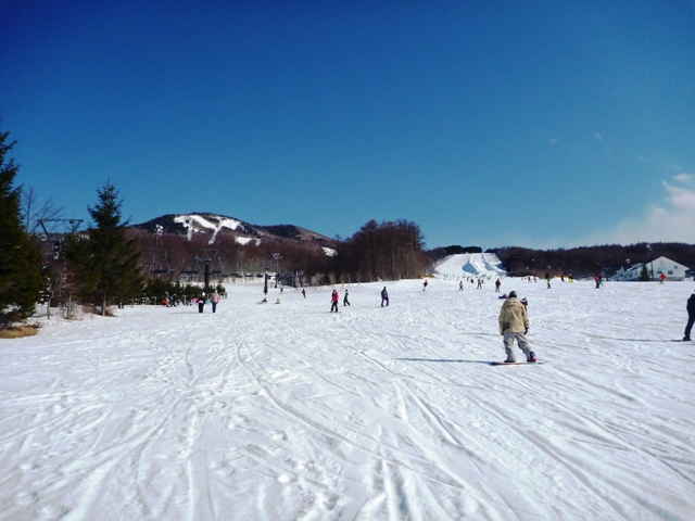2012_03_25_9002_P1030020.JPG