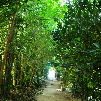2012_09_01.JPG