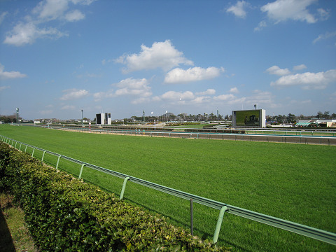 resize0121.jpg
