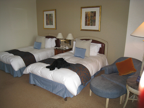 resize0145.jpg