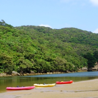 DSC00708.JPG