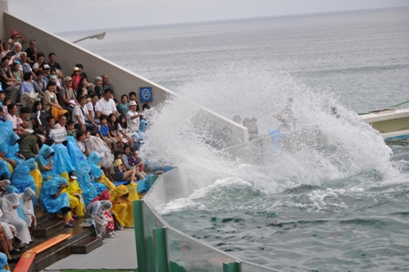 2011_08_20_2273_DSC_9493.JPG