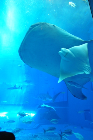 2012_09_03_13088_DSC_7479.JPG