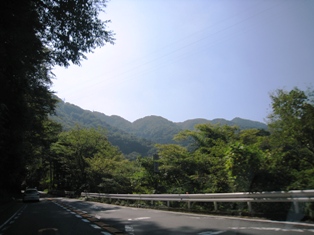 IMG_6502.JPG
