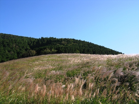 IMG_6566.JPG