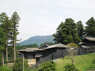 IMG_6684.JPG