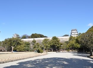 DSC_1790.JPG