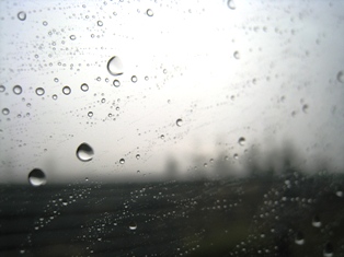 IMG_6872.JPG
