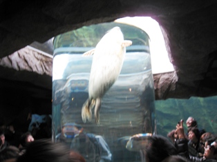 IMG_6907.JPG