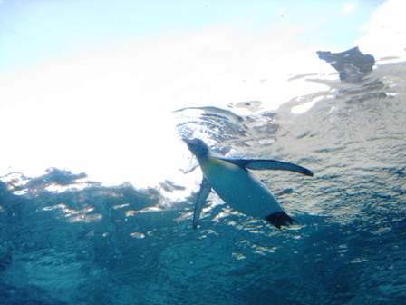 IMG_6915.JPG