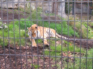 IMG_6919.JPG