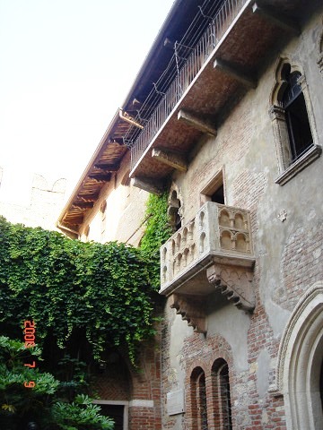 sDSC02113.jpg