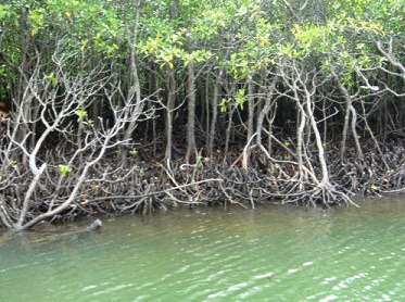 sDSC00670.jpg