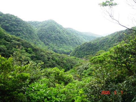 sDSC00689.jpg