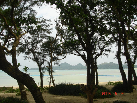 sDSC00772.jpg