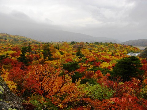 sDSC01196.jpg