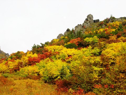 sDSC01203.jpg