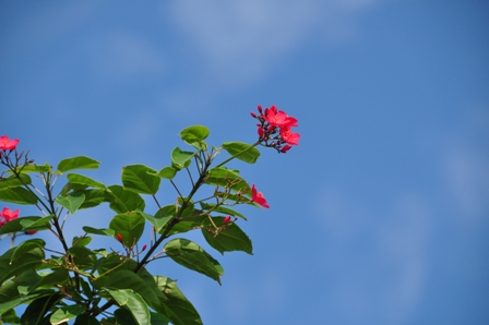2011_10_24_5969_DSC_1971.JPG