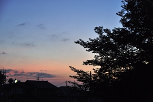 DSC_4486.JPG