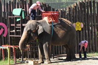 DSC_4919.JPG