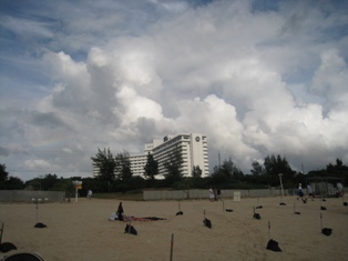 IMG_5016.JPG