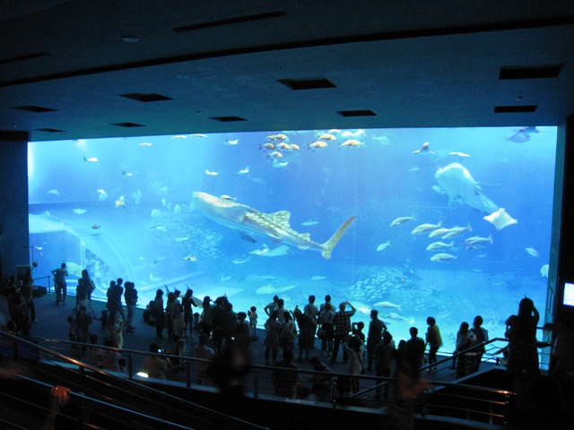 IMG_5086.JPG