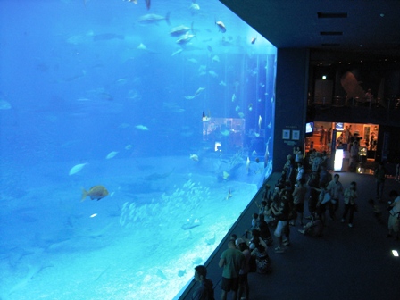 IMG_5093.JPG