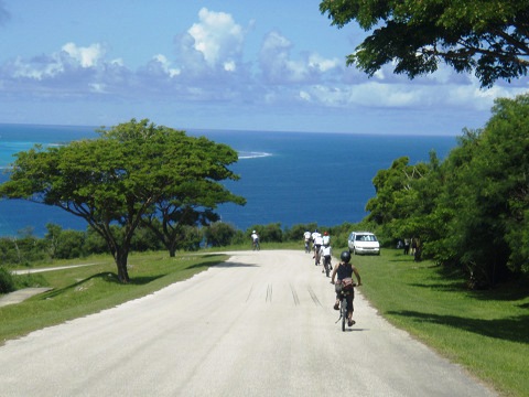resize0150.jpg