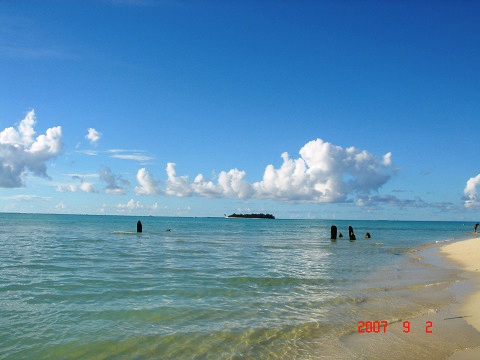 resize0153.jpg
