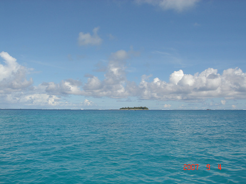 resize0157.jpg