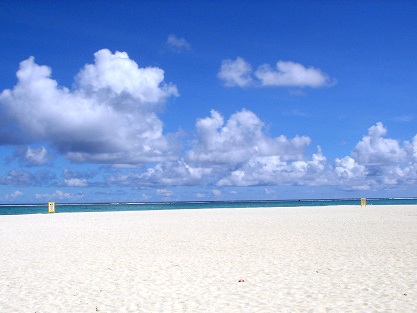 resize0159.jpg