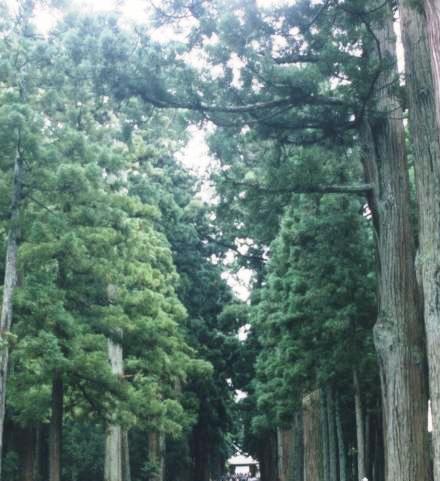 sendai006.jpg