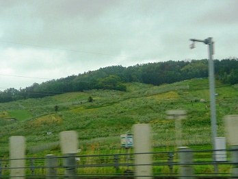 sDSC03375.jpg