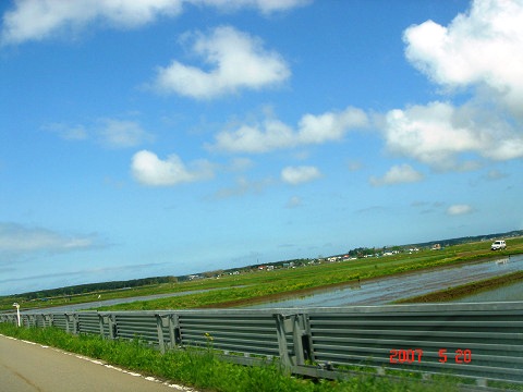 sDSC03380.jpg