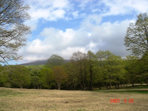 sDSC03431.jpg