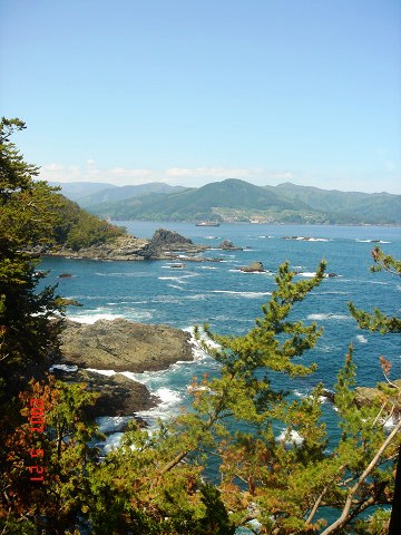 sDSC03475.jpg