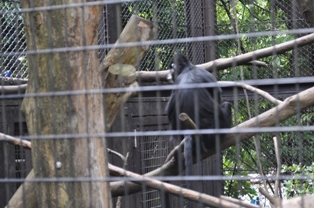 DSC_2124.JPG