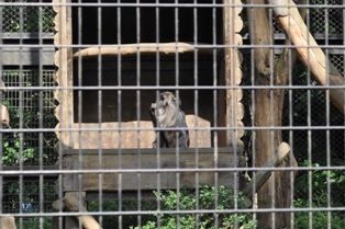 DSC_2131.JPG