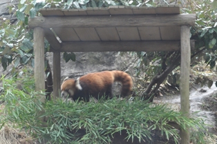 DSC_2145.JPG